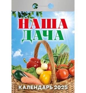 Календарь отрывной на 2025 год 