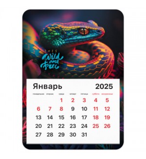 Календарь на магните отрывной на 2025 год 