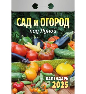 Календарь отрывной на 2025 год 