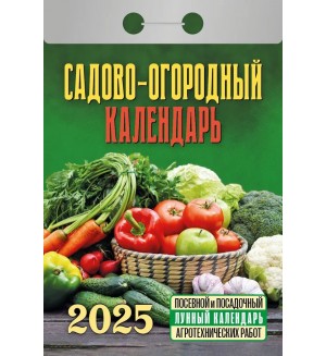 Календарь отрывной на 2025 год 