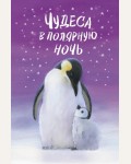 Вебб Х. Чудеса в полярную ночь. Холли Вебб и др. Зимние истории