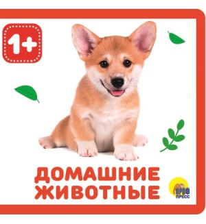 Домашние животные. Книжки на пене