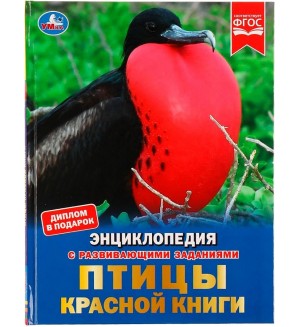 Птицы Красной книги. Энциклопедия с развивающими заданиями