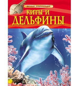 Киты и дельфины. Детская энциклопедия