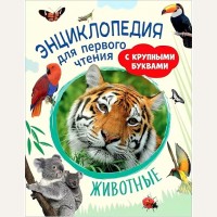 Гальцева С. Клюшник Л. Животные. Энциклопедия для первого чтения с крупными буквами