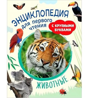 Гальцева С. Клюшник Л. Животные. Энциклопедия для первого чтения с крупными буквами