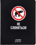 Дневник 1-11 класс 48 листов искусственная кожа, шелкография, отстрочка, ляссе 