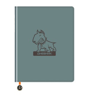 Дневник 1-11 класс 48 листов (твердый), иск. кожа, тиснение фольгой, ляссе с фигуркой 