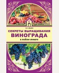 Жвакин В. Секреты выращивания винограда в любом климате. Азбука дачника