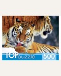 Пазлы 500 элементов 