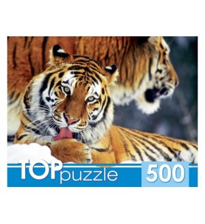 Пазлы 500 элементов 