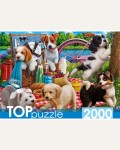 Пазлы 2000 элементов 