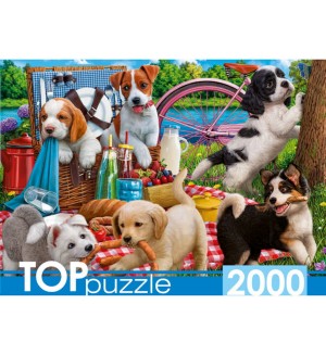 Пазлы 2000 элементов 