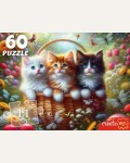 Пазлы 60 элементов 