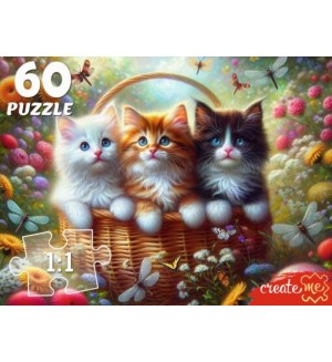 Пазлы 60 элементов 