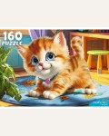 Пазлы 160 элементов 