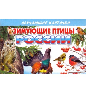 Зимующие птицы России. Обучающие карточки и плакаты