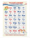 Плакат. Русский алфавит с названиями букв. Русский язык в начальной школе, А3