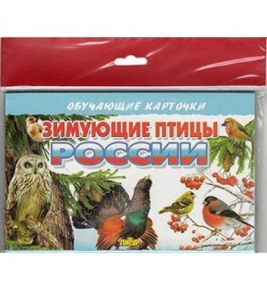 Зимующие птицы России. Обучающие карточки