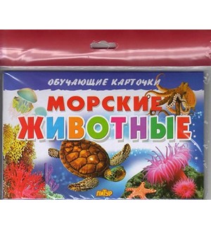 Морские животные. Обучающие карточки и плакаты