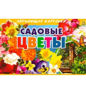 Садовые цветы. Обучающие карточки