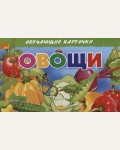Овощи. Обучающие карточки
