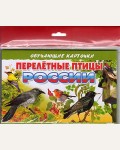 Перелетные птицы России. Обучающие карточки