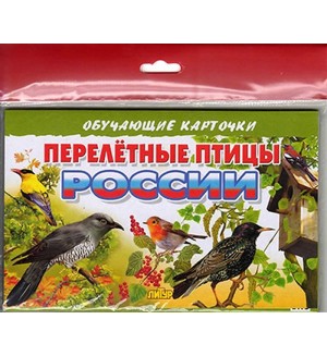 Перелетные птицы России. Обучающие карточки