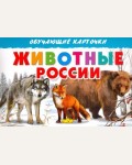 Животные России. Обучающие карточки