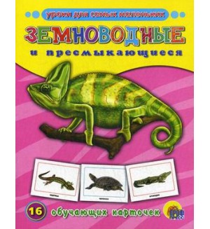 Земноводные и пресмыкающиеся. 16 обучающих карточек. Уроки для самых маленьких