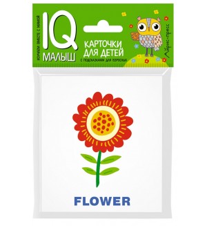 Растения. English. Набор карточек для детей. IQ-малыш