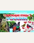 Зимующие птицы России. Обучающие карточки и плакаты