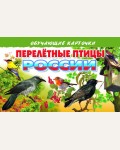 Перелетные птицы России. Обучающие карточки и плакаты