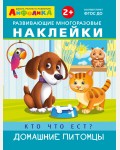 Кто что ест? Домашние питомцы. Развивающие многоразовые наклейки. Айфолика. Играем и учимся