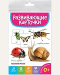 Насекомые. Развивающие карточки, 120*180, 20 штук