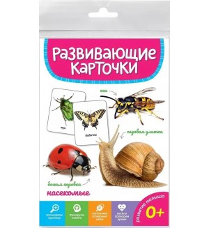 Насекомые. Развивающие карточки, 120*180, 20 штук