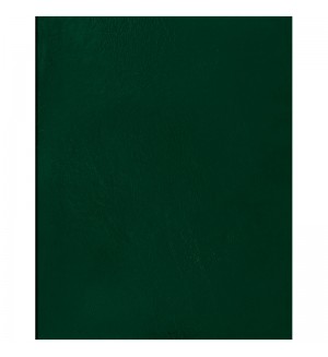 Тетрадь 48 листов, А5, клетка, бумвинил, зеленый (OfficeSpace)