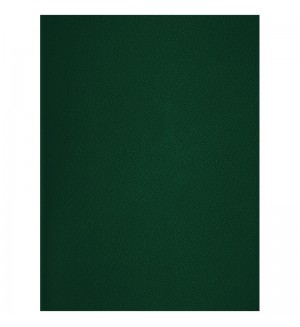 Тетрадь 96 листов, А4, клетка, бумвинил, зеленый (OfficeSpace)