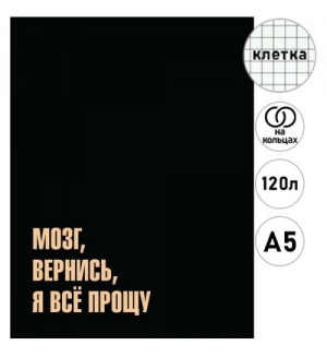 Тетрадь на кольцах 120 листов, А5, клетка, матовая ламинация 