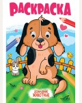 Раскраска. Домашние животные. Раскраска с глазками