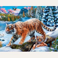 Картина по номерам 30*40см 