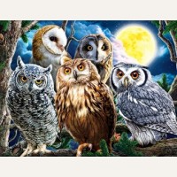 Картина по номерам 30*40см 