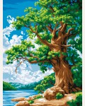 Картина по номерам 30*40см 