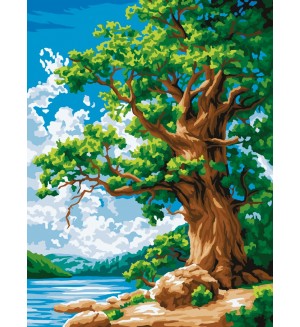 Картина по номерам 30*40см 