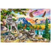 Картина по номерам 30*40см 