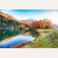 Картина по номерам 30*40см 