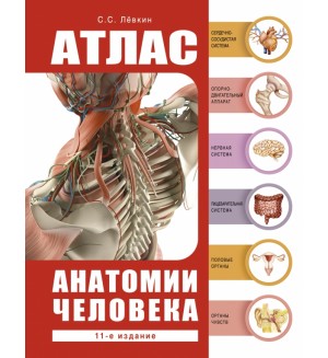 Левкин С. Атлас анатомии человека. Атлас анатомии