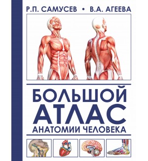 Самусев Р. Большой атлас анатомии человека. Медицина и здоровье